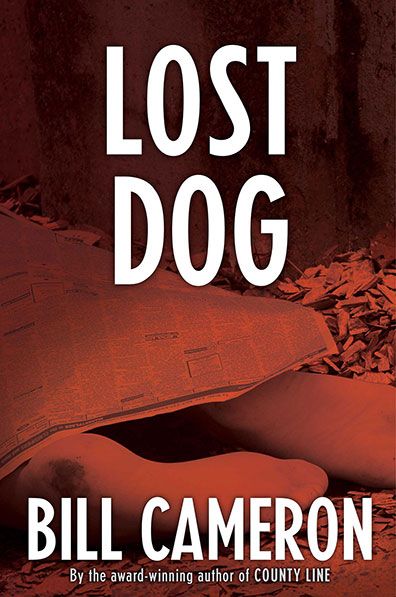 Lost Dog, by Bill Cameron